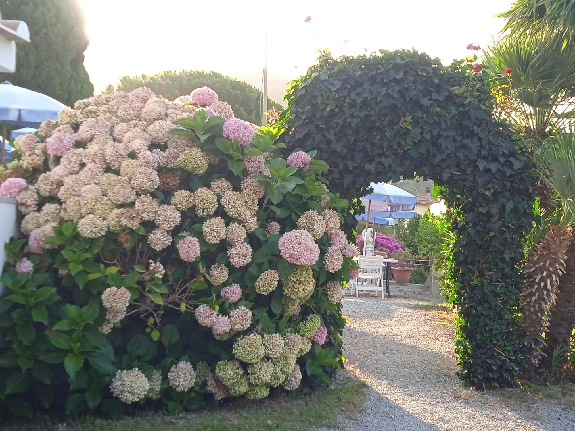 Locanda Dell'Amicizia Seccheto Exterior photo